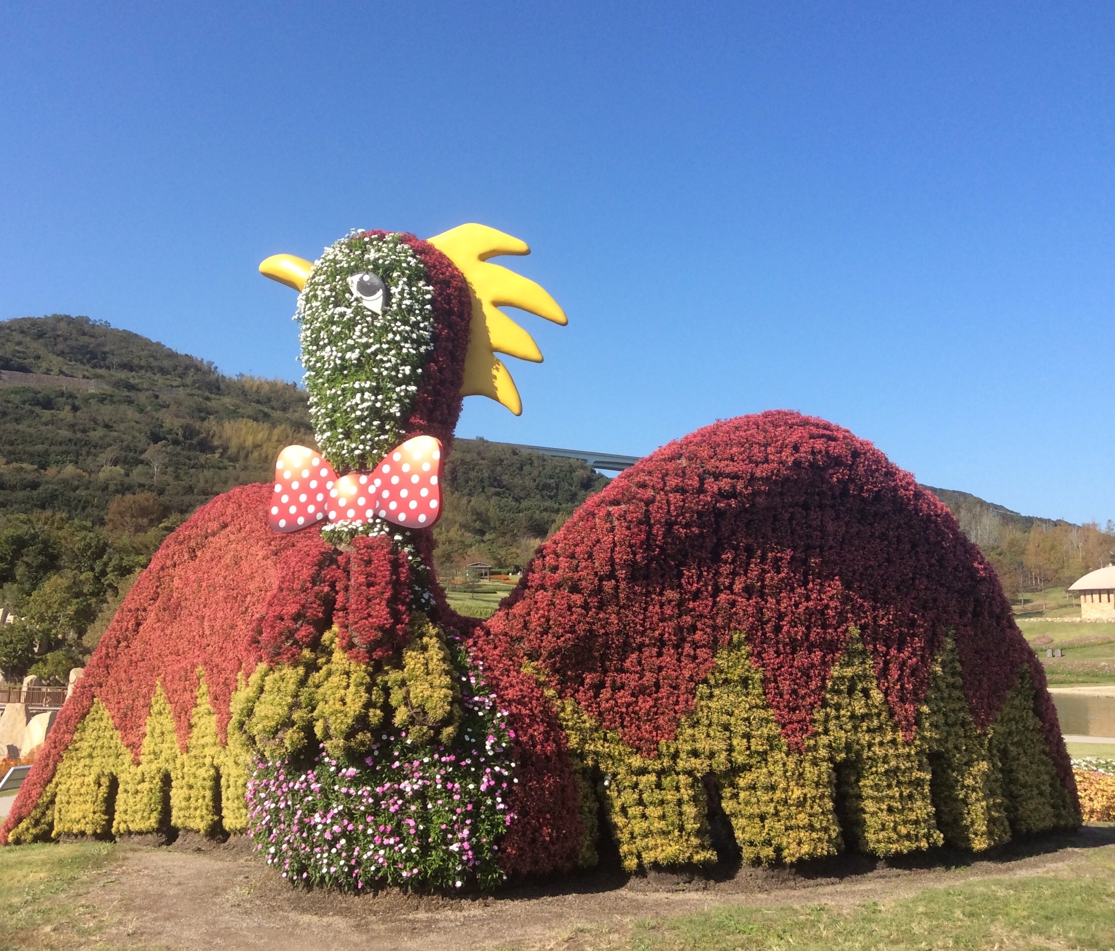 淡路島明石海峡公園のコスモスの丘 駐車場はどこが便利 鏡花水月 花つむぎ