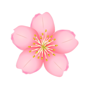 梅 ウメ 桃 モモ 桜 サクラ の違いがひと目でわかる見分け方 鏡花水月 花つむぎ
